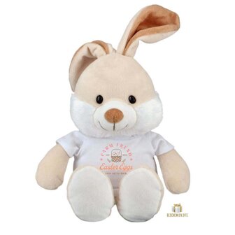 01-Easter Pluchen Konijn met T-Shirt - 23 cm